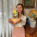 ROSA BRILLANTE SAN VALENTIN LOVELY™ 50%OFF ENVIO GRATIS